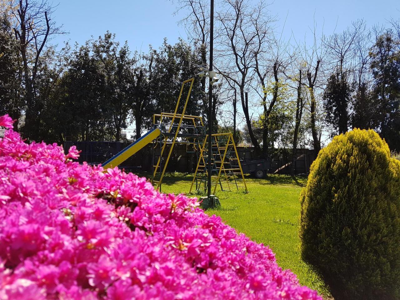Cabanas Risso Villa Villarrica Exterior photo